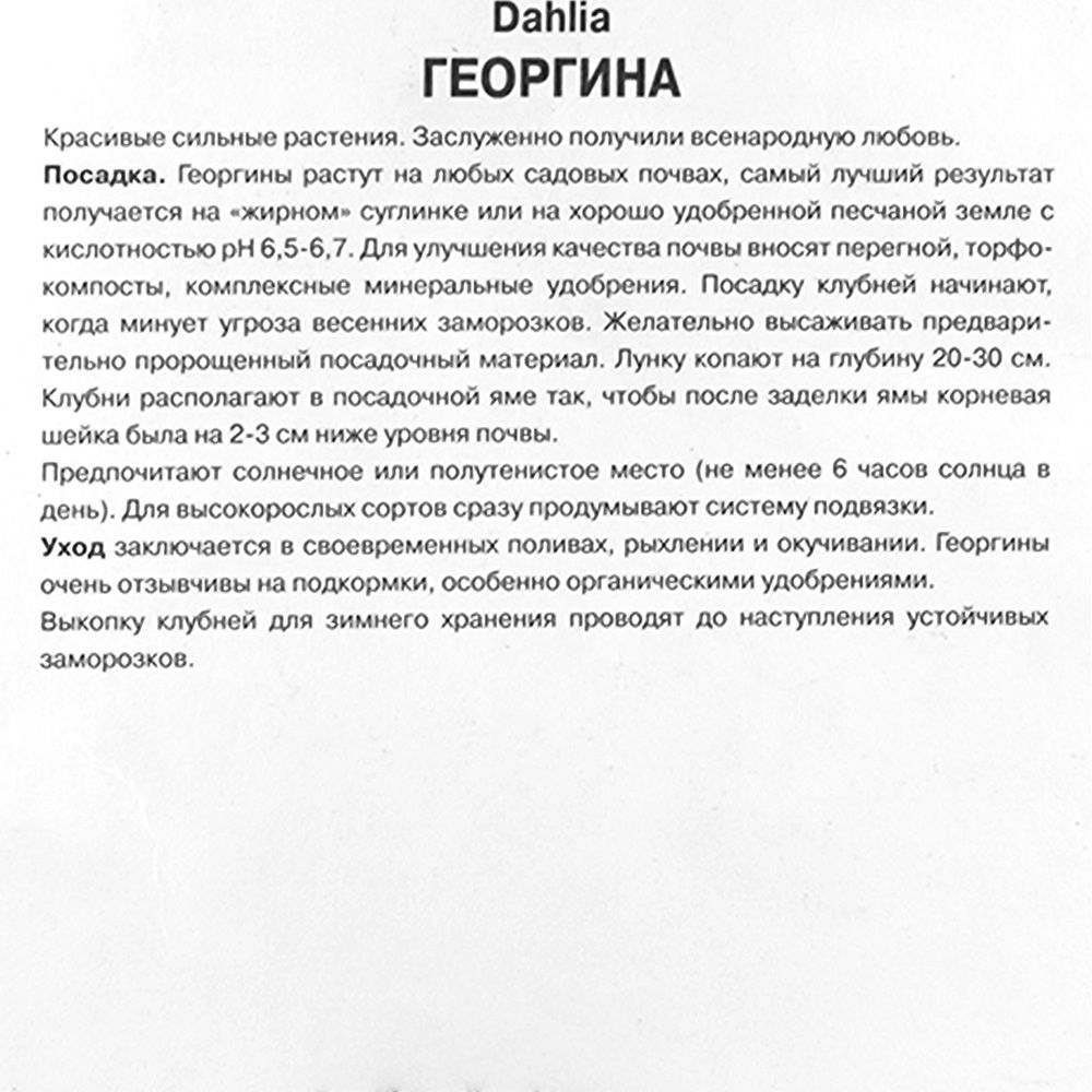 Георгина Литтл Тайгер I/К декоративная