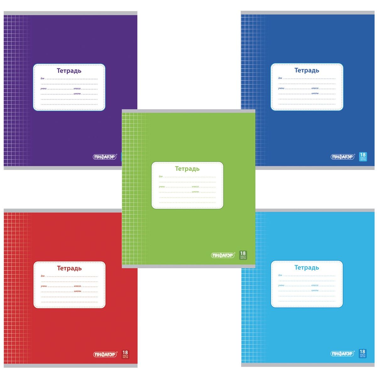 Тетрадь Пифагор 18 листов клетка эконом
