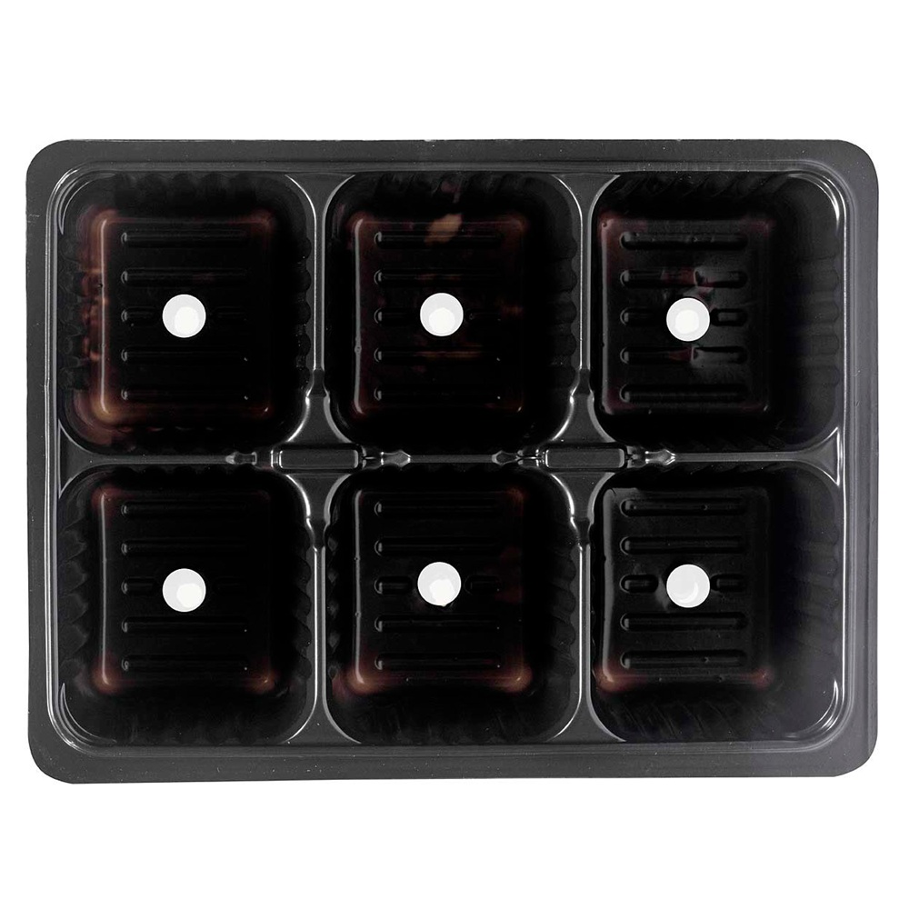 Кассета для рассады 6 ячеек 18х13,5х6 см