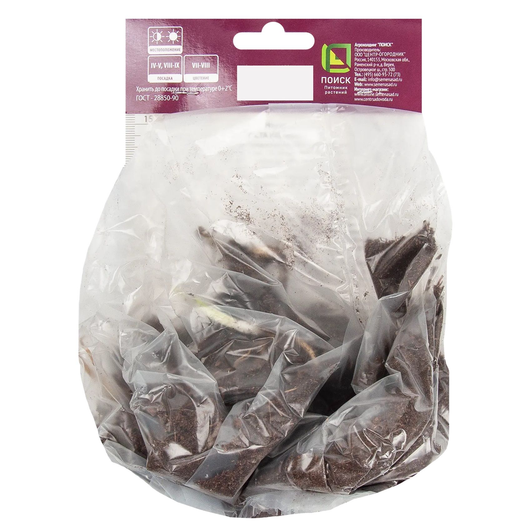 Хоста гибридная Блу Энджел