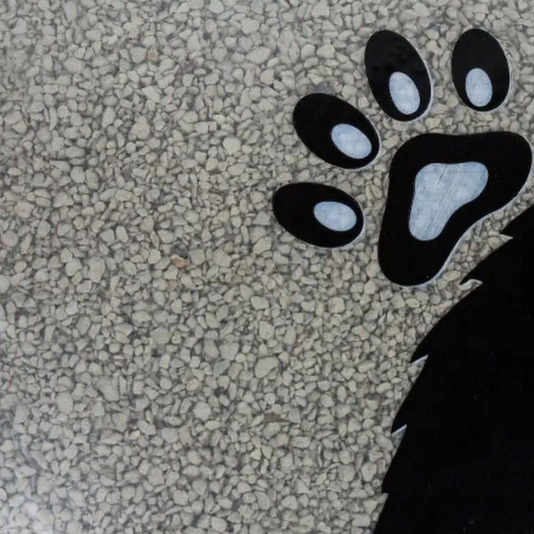 Наполнитель для кошачьего туалета комкующийся КотЛета Бентонит 5 л