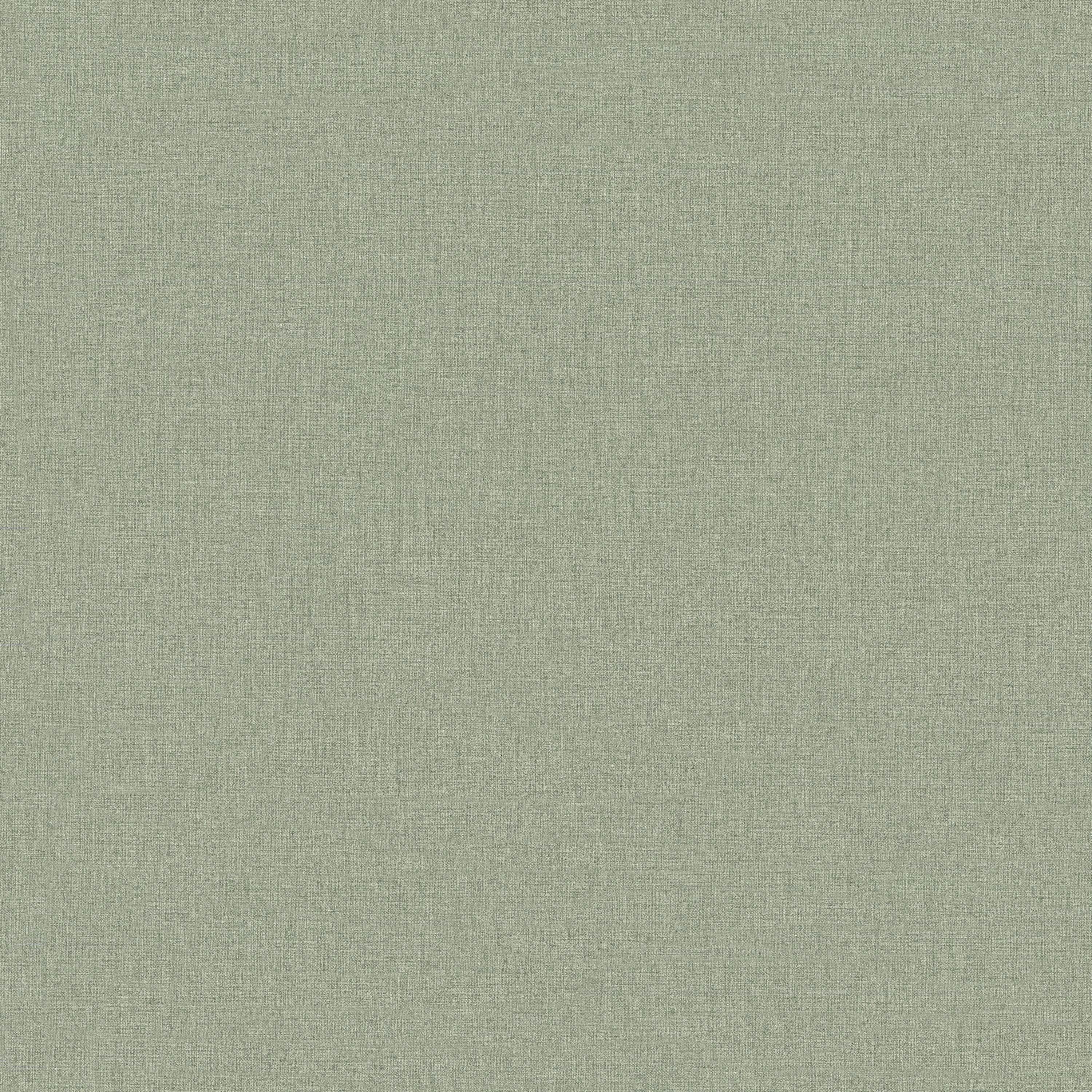 Обои Euro Decor Base 7302-10 оливковые однотонные 1,06х10,05 м