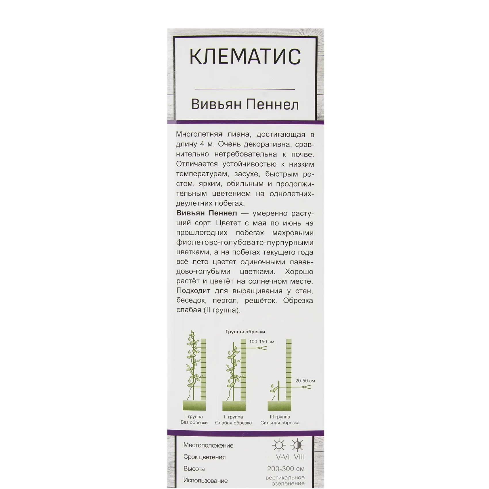 Клематис крупноцветковый Вивьян Пеннел