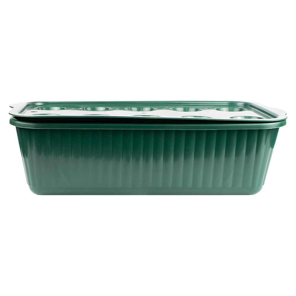 Лоток для выращивания зеленого лука зеленый