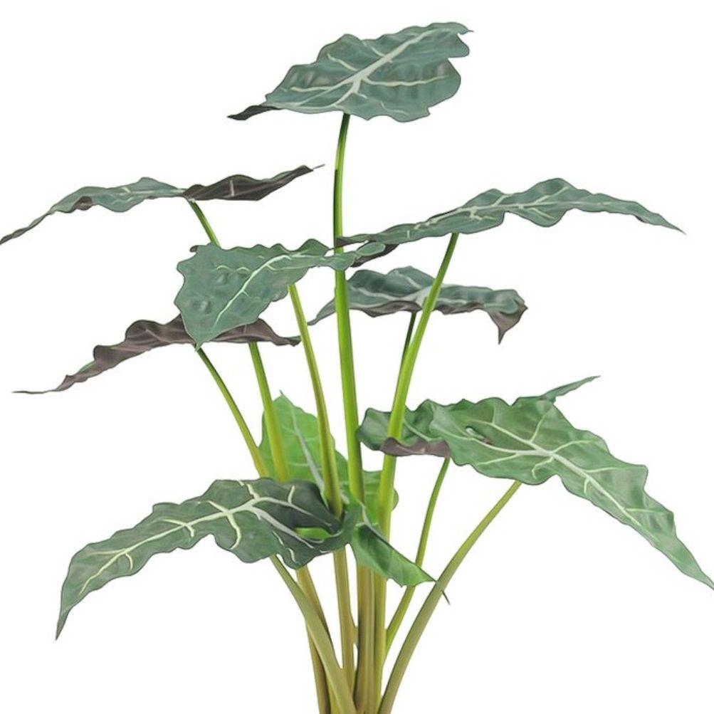 Растение искусственное Алоказия в кашпо 11 веток H67 см зеленый