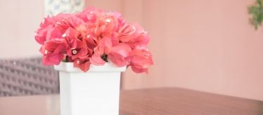 Вазы для цветов