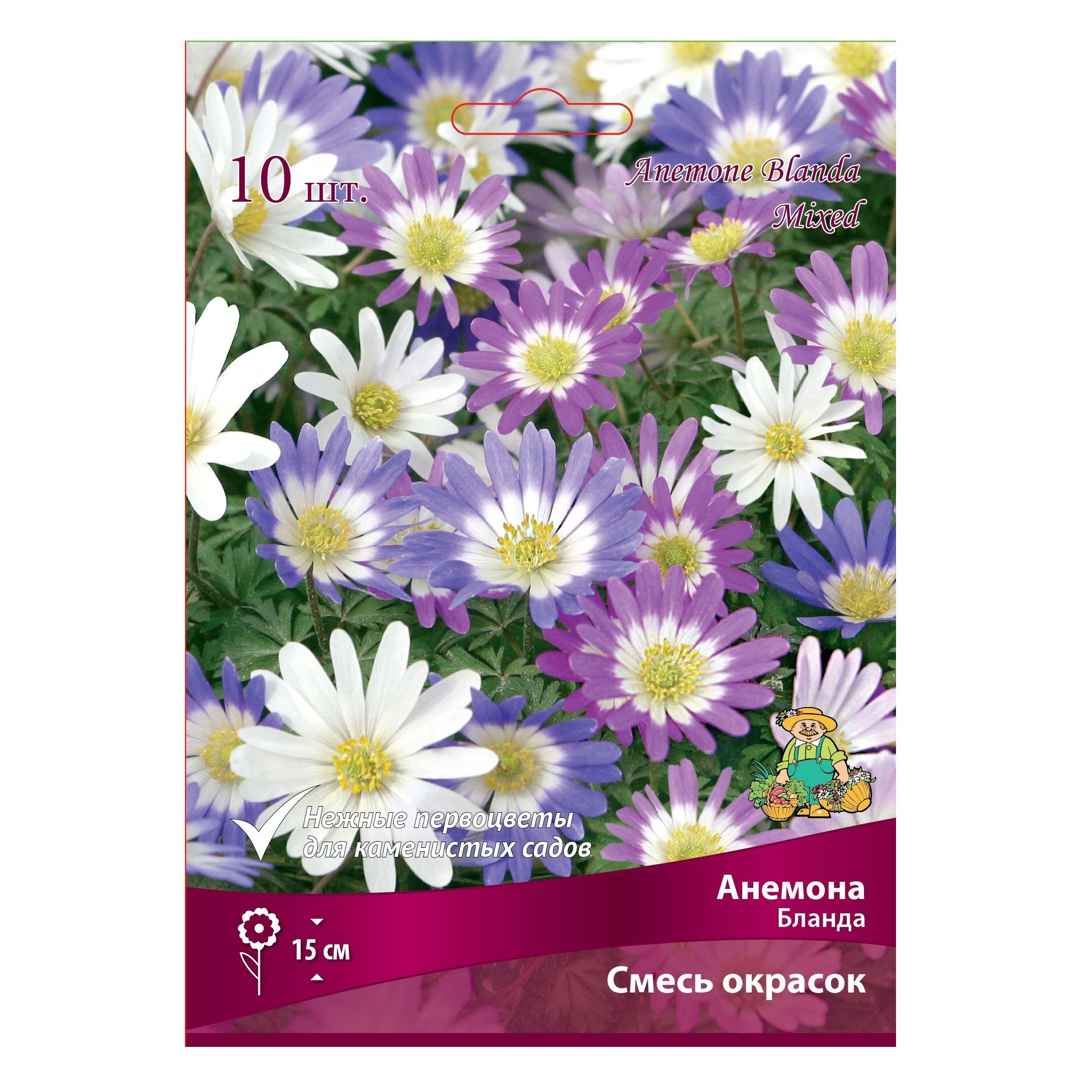 Анемона Бланда смесь окрасок 5-6/К 10 шт