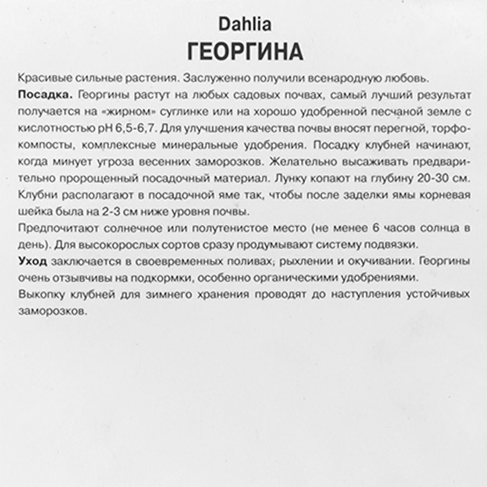 Георгина бахромчатая Тейбл Дансер I/К