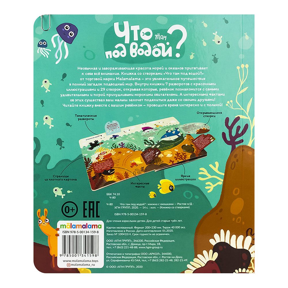 Книга со створками Что там под водой?