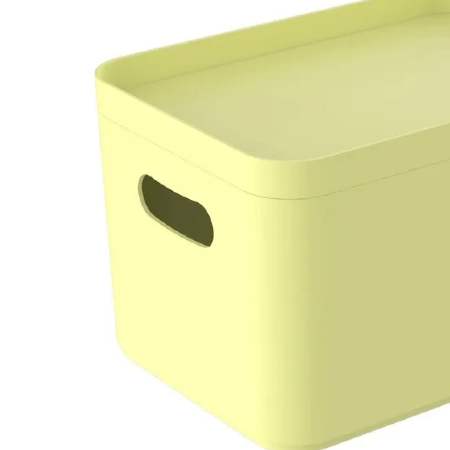 Контейнер для хранения Pako Street 22,9х15,9х13,8 см лето