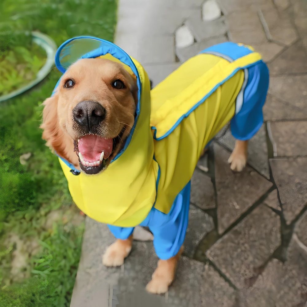 Дождевик для собак крупных пород Komfort желто-голубой р XL
