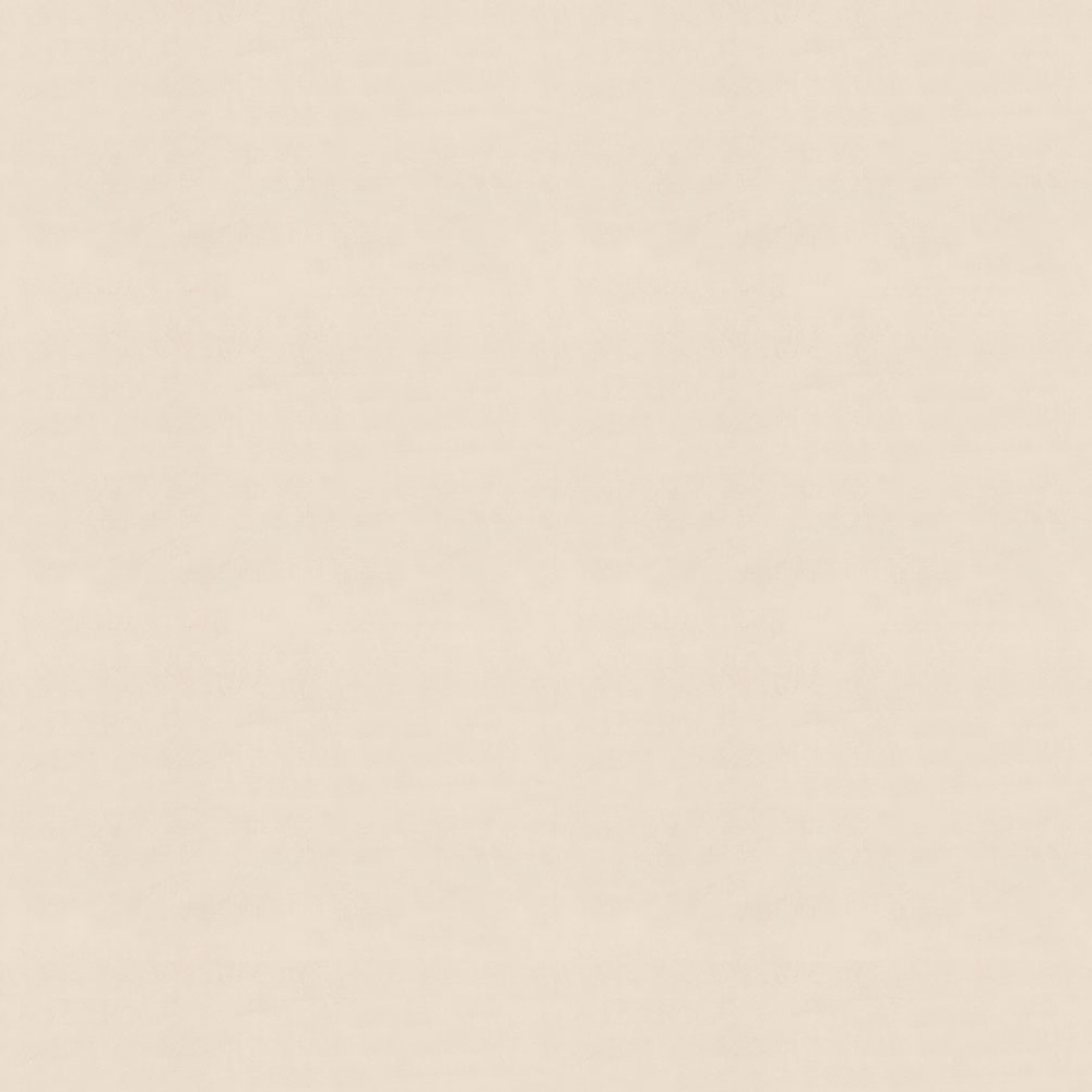 Обои Ornamy Florance 8091-11 пудровые штукатурка 1,06х10 м