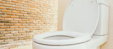 Сиденья для унитаза