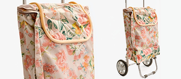 Сумки и тележки