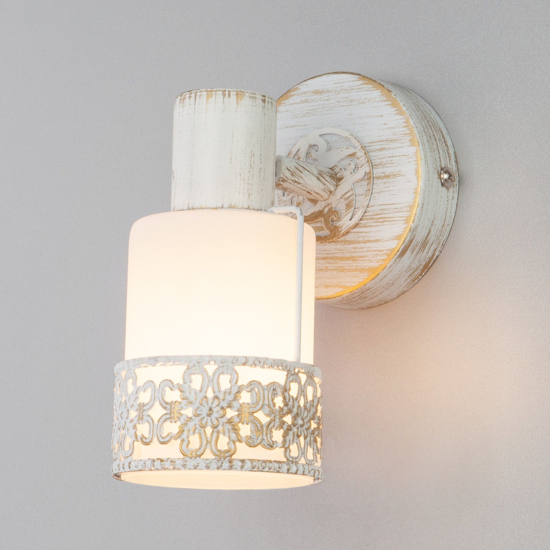 Светильник СПОТЫ - 20025/1 белый с золотом