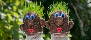 Травянчики