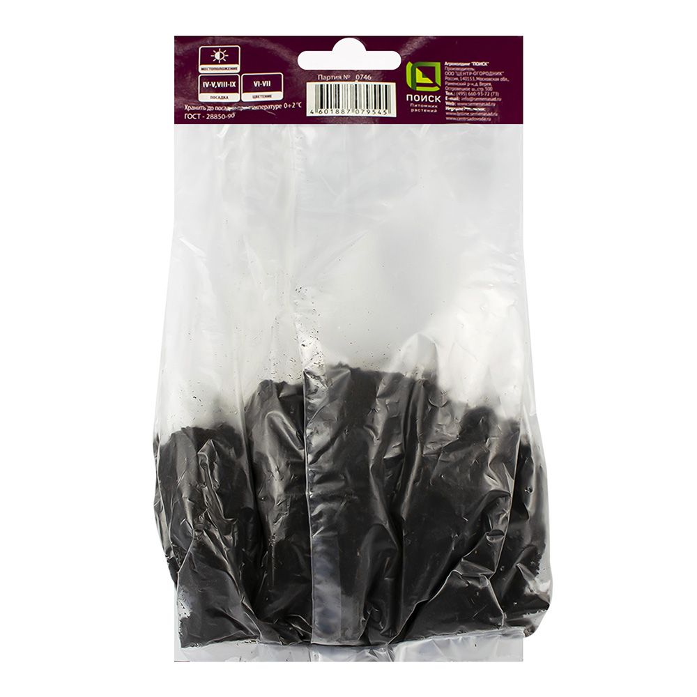 Астильба Арендса Аметист/К