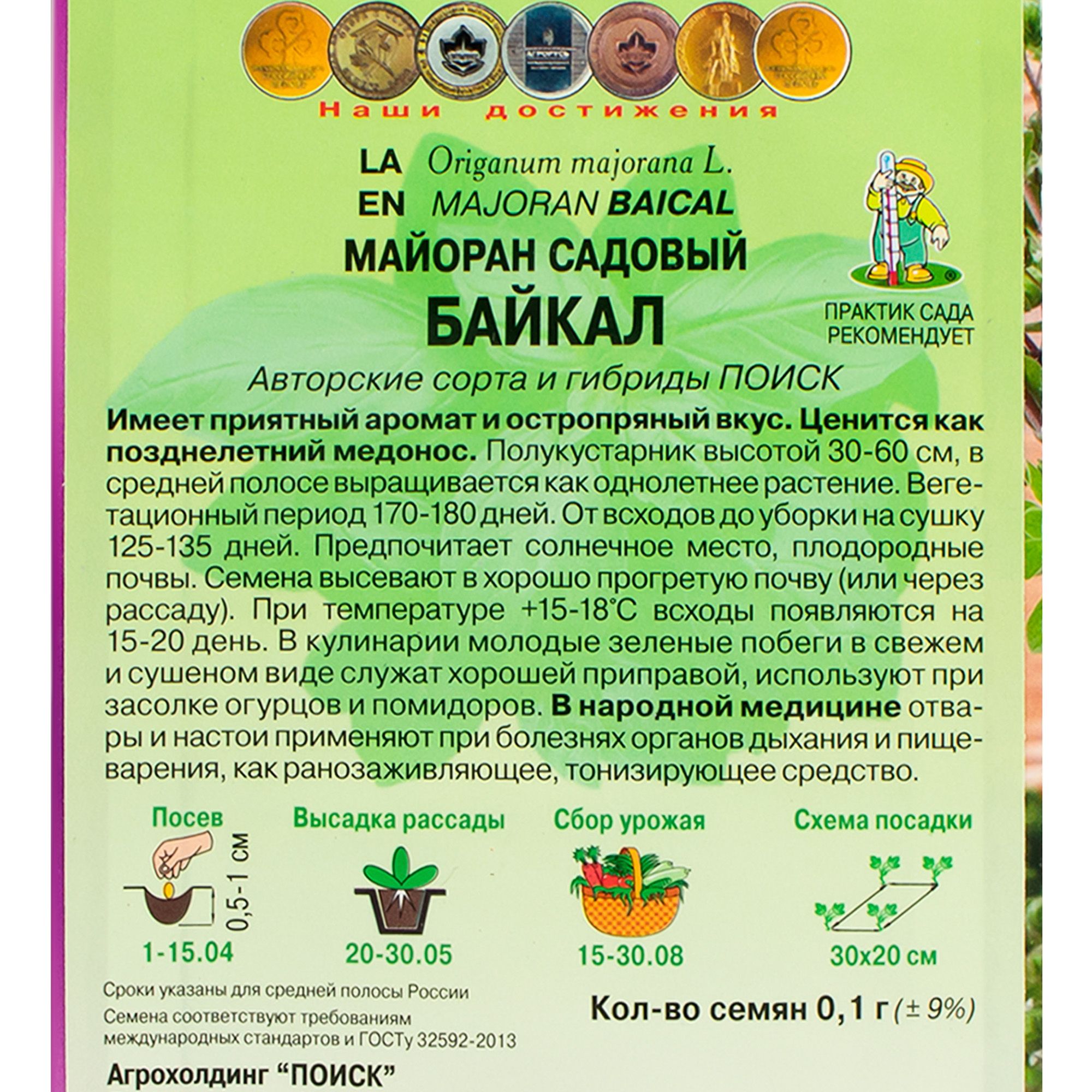 Майоран садовый Байкал (А) ц/п