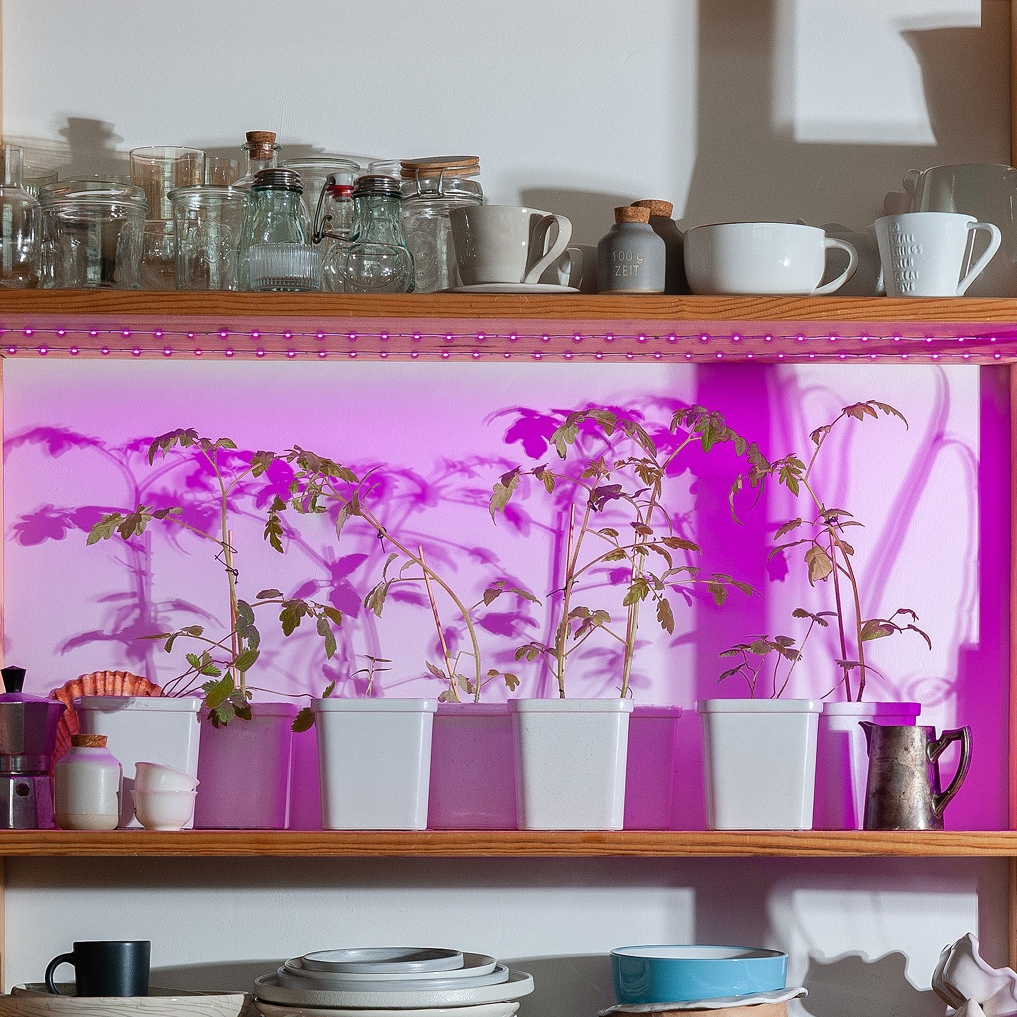 Комплект лента светодиодная 42LED/m-IP65 2м.спектр и адаптер 18Вт ULS-P76-2835-42LED/m-IP65-2M-SPSB RRP18C00 для рассады и цветения