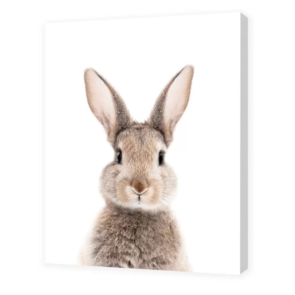 Картина-холст Н-1602S (48*39) Кролик-голова