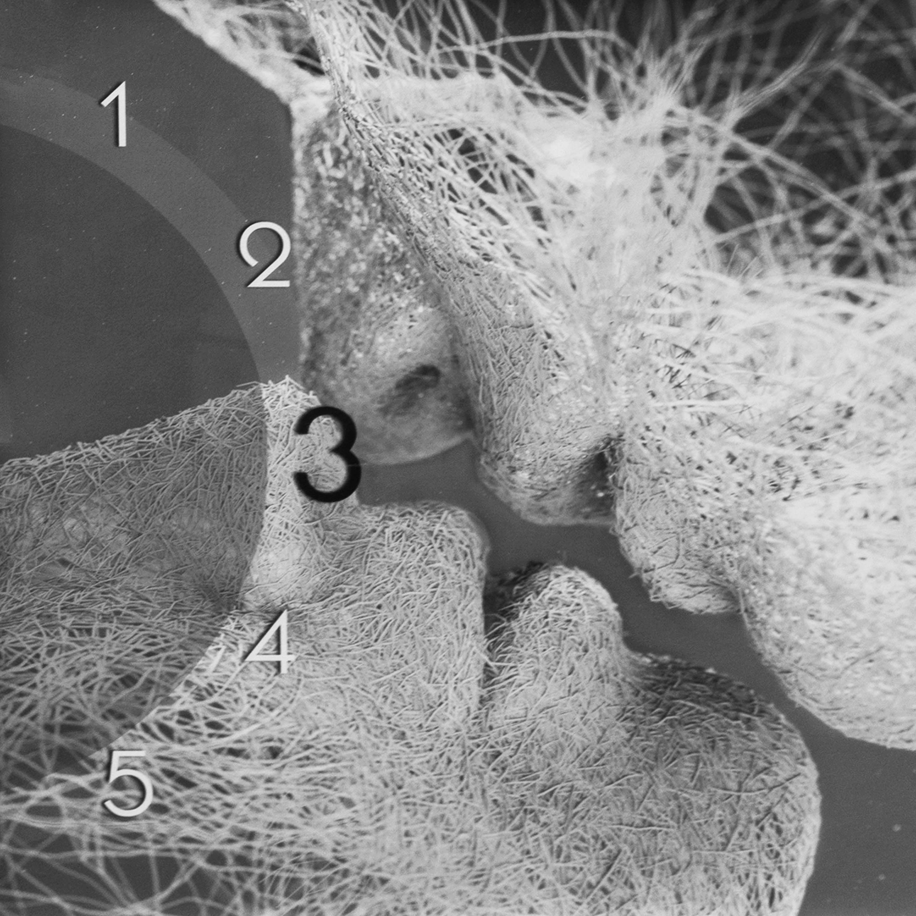 Часы-постер BL-2590WT 35х57 см Двое