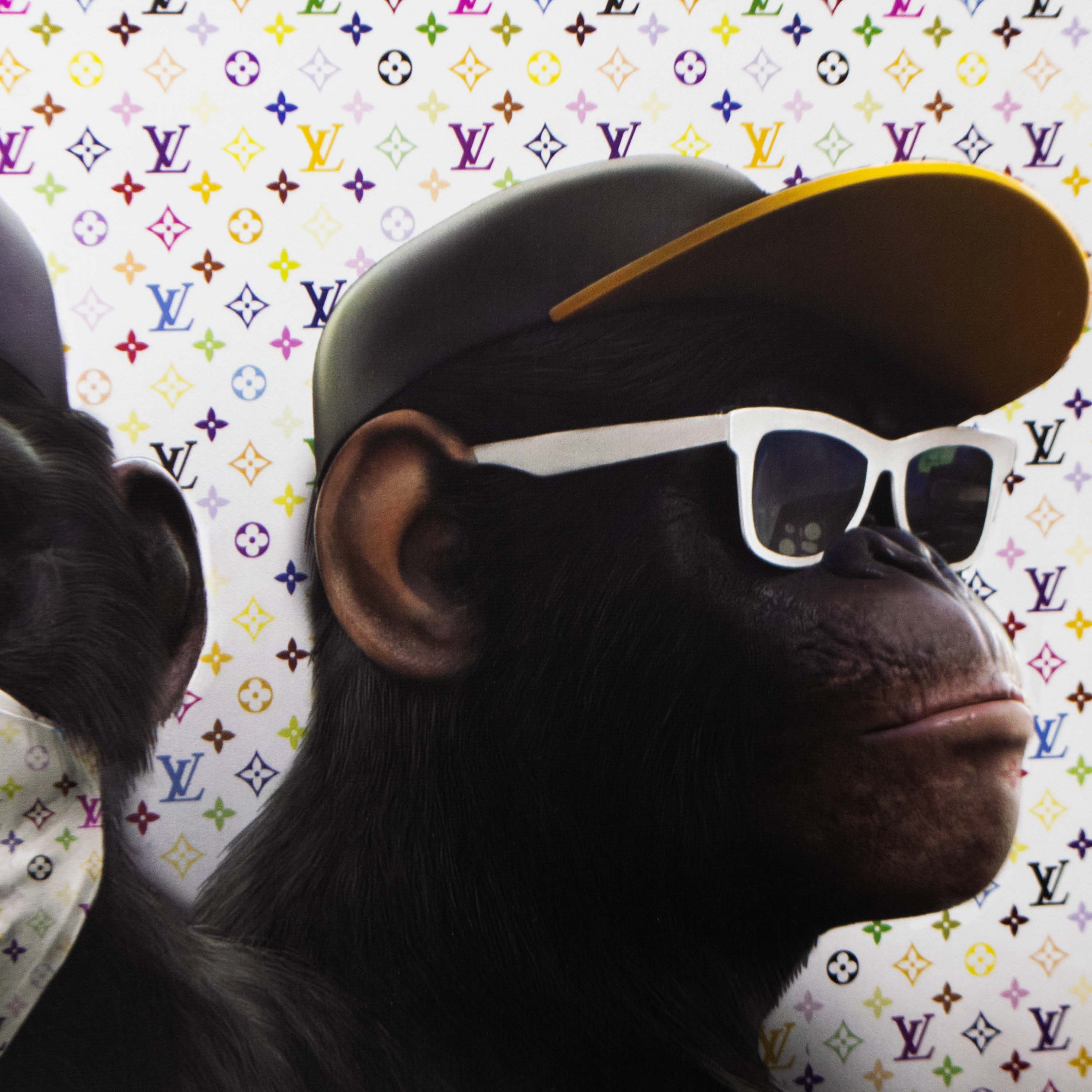 Холст H-1253L (60x100) Три обезьяны Louis Vuitton