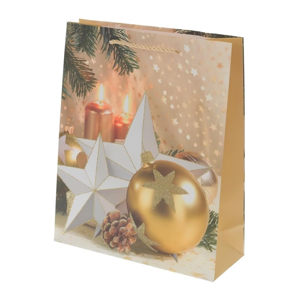 Пакет подарочный L30 W12 H41,5 см бумага 210г/м2 798982