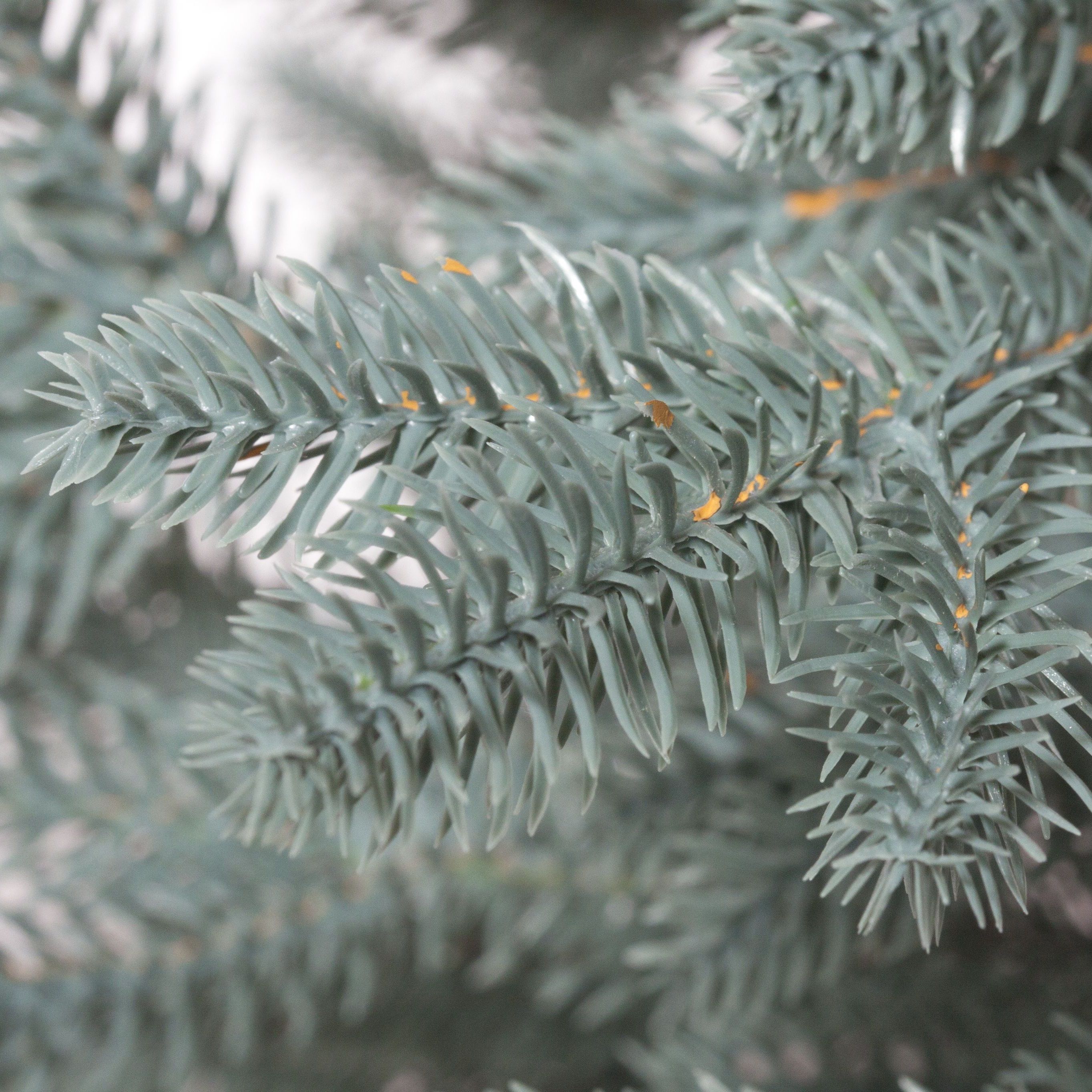 Елка искусственная Эльза 60 см голубая