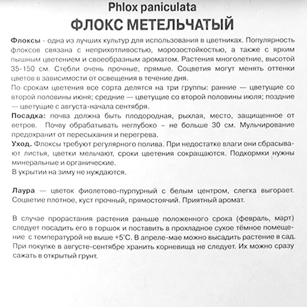 Флокс метельчатый Лаура/К