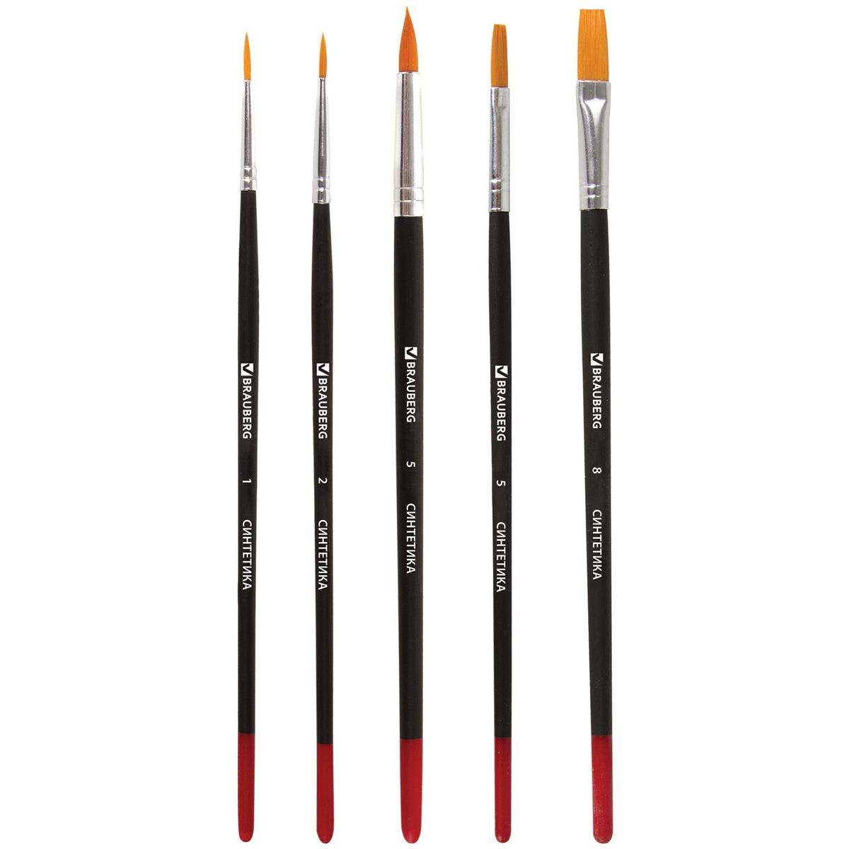 Набор кистей BRAUBERG 5шт