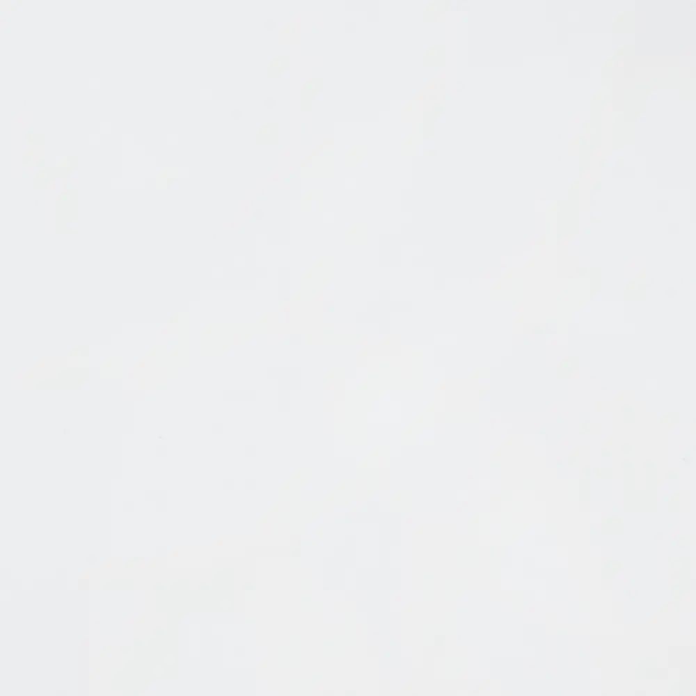 Панель стеновая 300 х 0,6 х 60 см 10М Белый