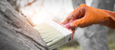 Защита сада