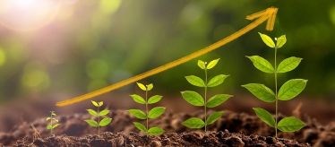 Стимуляторы, регуляторы