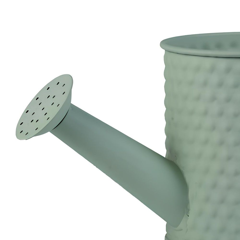 Кашпо Лейка металлическое зеленое 10х10х11 см l=23 см