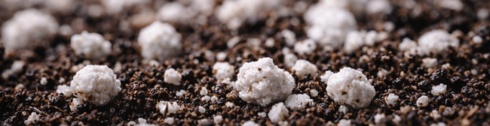 Перлит для растений: аэрация и лёгкость в идеальном субстрате