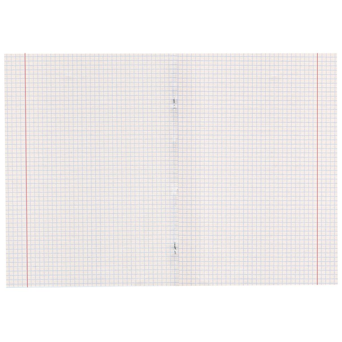 Тетрадь Пифагор 18 листов клетка эконом