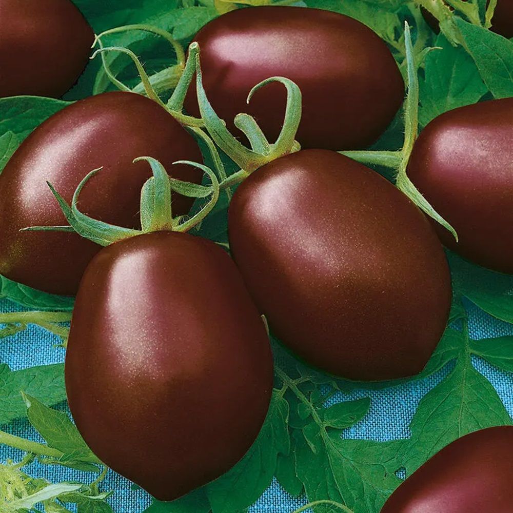 Томат Де Барао черный (ЧБ) 0,1гр.