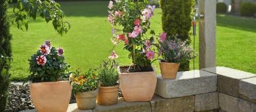 Капельный полив