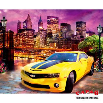 Фотообои бумажные Стрит рейсинг 282 294х260 см (12л)