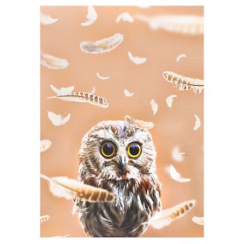 Картина-Холст H-1216H (50*70) Совенок в перьях