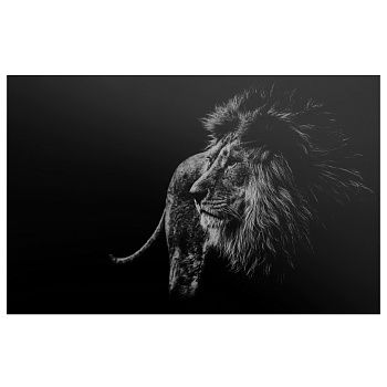 Картина-холст S-9000G 130x200 см Лева на черном