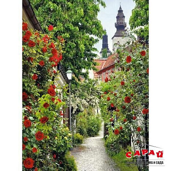 Пражская улочка Ф 006 Фотопанно 200*270 см песок