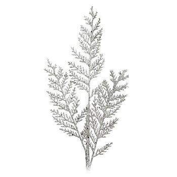 Украшение интерьерное Ветка Хвойная 69x20x1 см