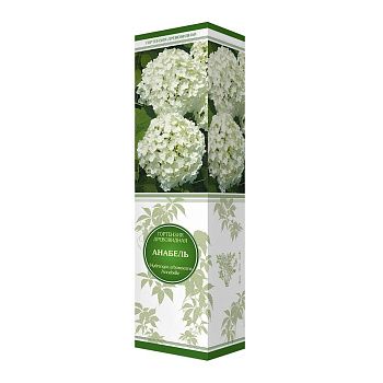 Гортензия древовидная Анабель