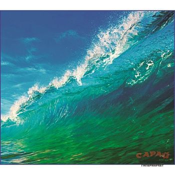 Фотообои бумажные Волна VIP А 006 294х260 см (12л)