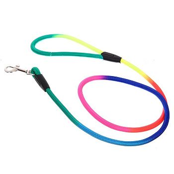 Поводок с карабином нейлоновый Неоновое настроение 120 см Ultramarine