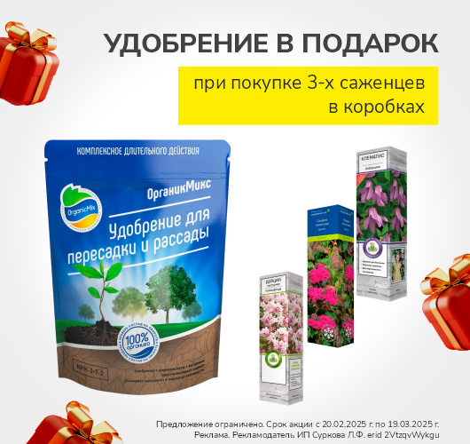 Лучший старт для роста