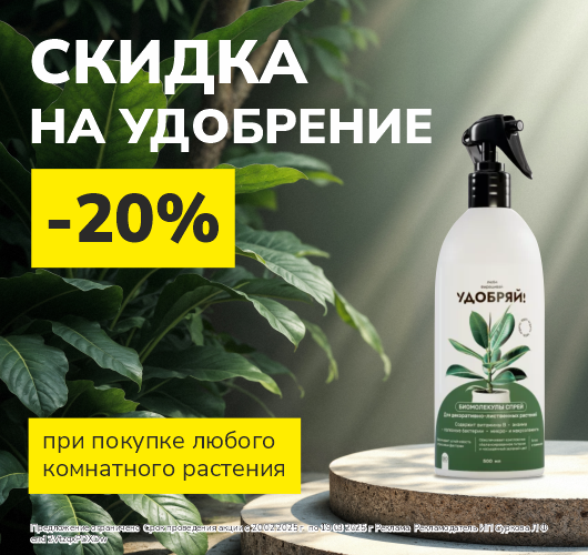 Идеальный дуэт