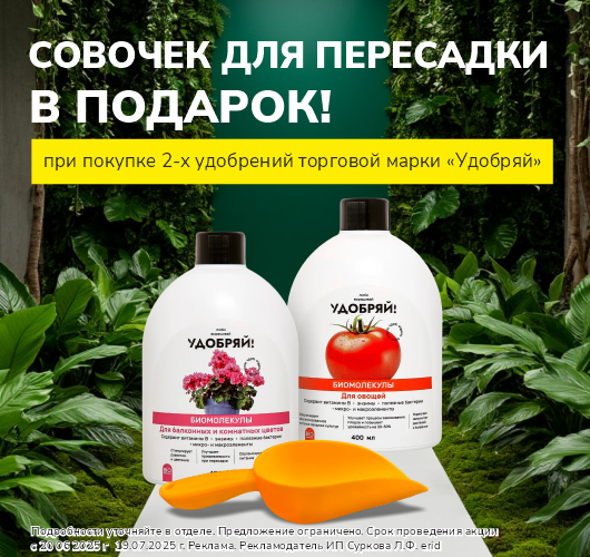 Лопатка в подарок