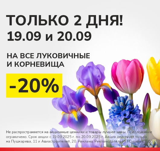 Скидка 20% на все корневища и луковичные растения